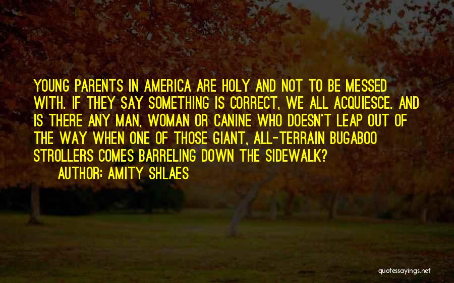 Amity Shlaes Quotes: Young Parents In America Are Holy And Not To Be Messed With. If They Say Something Is Correct, We All