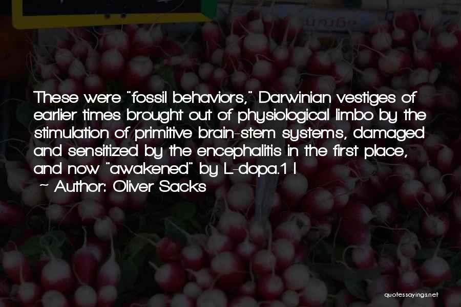 Oliver Sacks Quotes: These Were Fossil Behaviors, Darwinian Vestiges Of Earlier Times Brought Out Of Physiological Limbo By The Stimulation Of Primitive Brain-stem