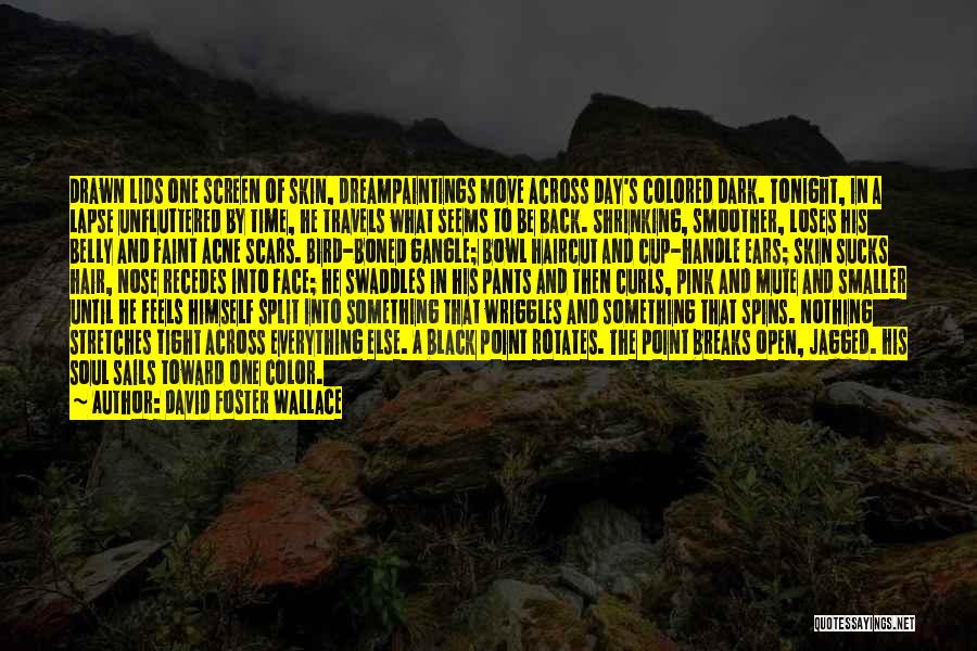 David Foster Wallace Quotes: Drawn Lids One Screen Of Skin, Dreampaintings Move Across Day's Colored Dark. Tonight, In A Lapse Unfluttered By Time, He