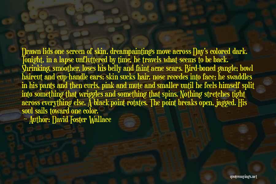 David Foster Wallace Quotes: Drawn Lids One Screen Of Skin, Dreampaintings Move Across Day's Colored Dark. Tonight, In A Lapse Unfluttered By Time, He