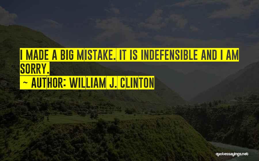 William J. Clinton Quotes: I Made A Big Mistake. It Is Indefensible And I Am Sorry.