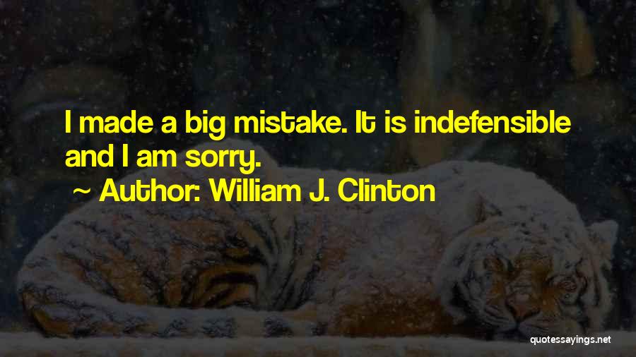 William J. Clinton Quotes: I Made A Big Mistake. It Is Indefensible And I Am Sorry.