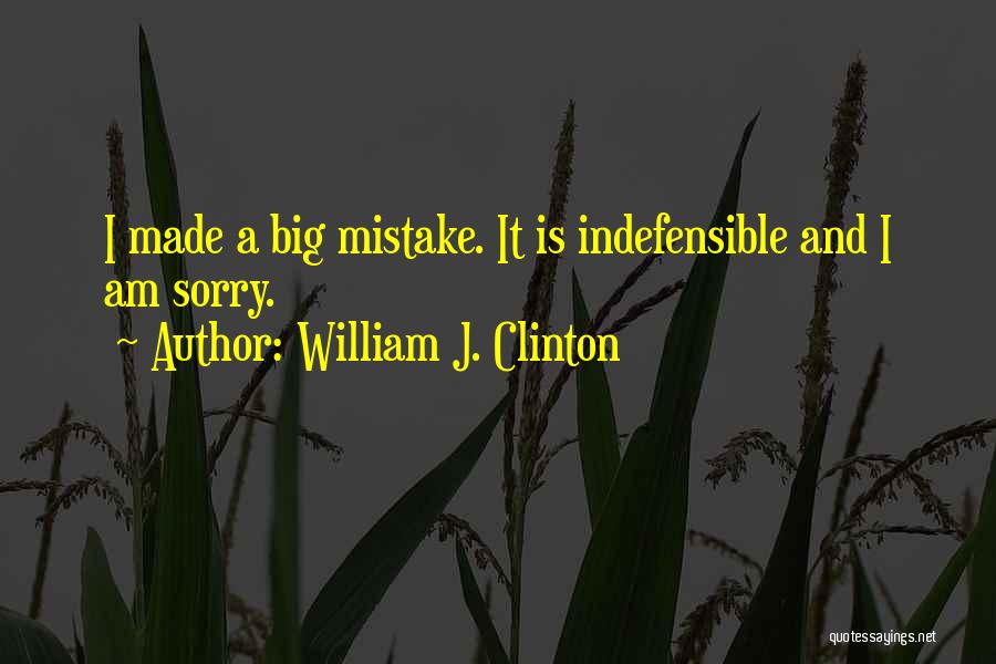 William J. Clinton Quotes: I Made A Big Mistake. It Is Indefensible And I Am Sorry.