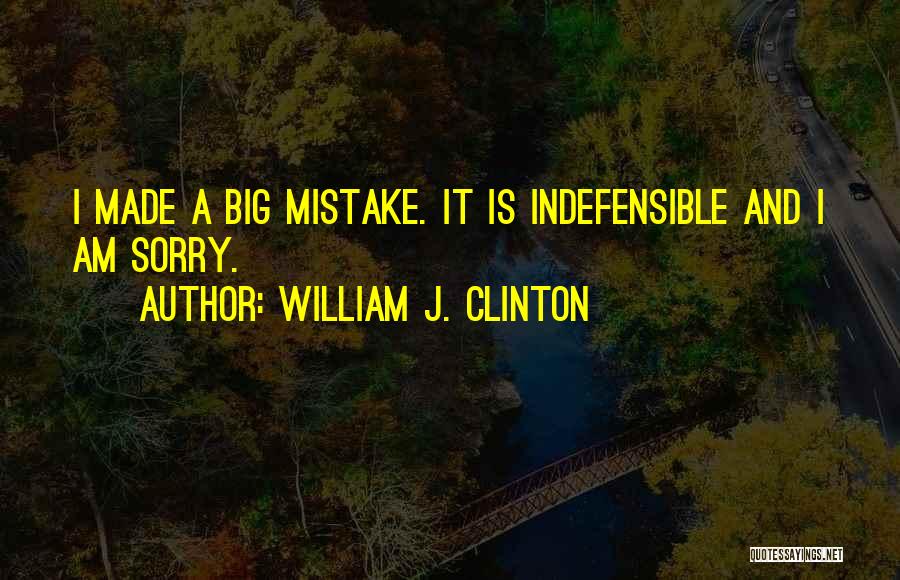 William J. Clinton Quotes: I Made A Big Mistake. It Is Indefensible And I Am Sorry.