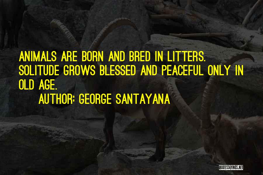 George Santayana Quotes: Animals Are Born And Bred In Litters. Solitude Grows Blessed And Peaceful Only In Old Age.