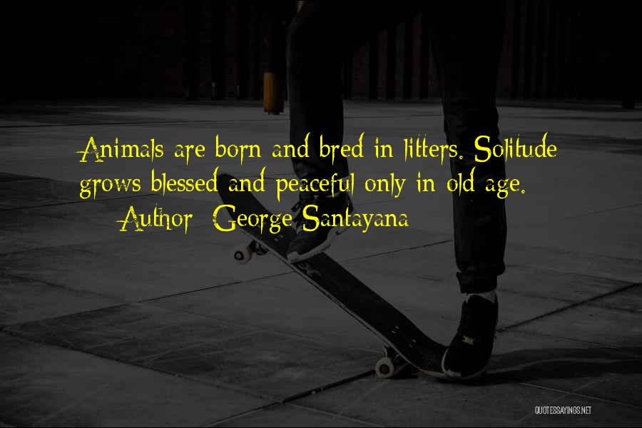 George Santayana Quotes: Animals Are Born And Bred In Litters. Solitude Grows Blessed And Peaceful Only In Old Age.