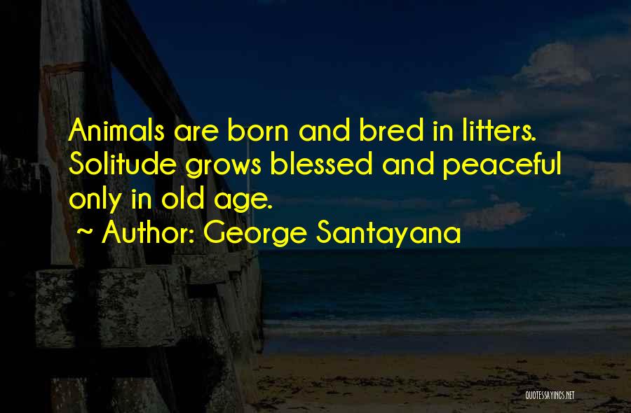 George Santayana Quotes: Animals Are Born And Bred In Litters. Solitude Grows Blessed And Peaceful Only In Old Age.