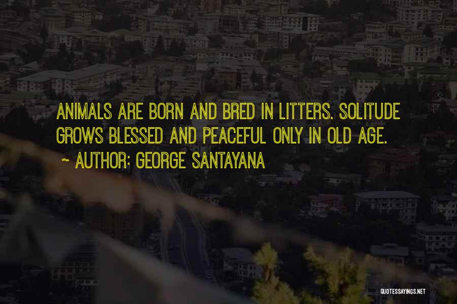 George Santayana Quotes: Animals Are Born And Bred In Litters. Solitude Grows Blessed And Peaceful Only In Old Age.