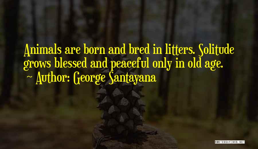 George Santayana Quotes: Animals Are Born And Bred In Litters. Solitude Grows Blessed And Peaceful Only In Old Age.