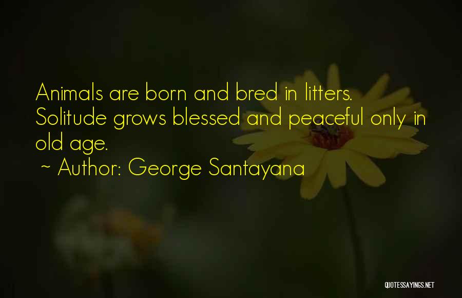 George Santayana Quotes: Animals Are Born And Bred In Litters. Solitude Grows Blessed And Peaceful Only In Old Age.