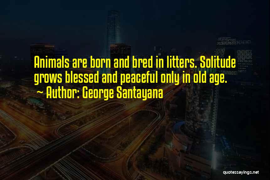 George Santayana Quotes: Animals Are Born And Bred In Litters. Solitude Grows Blessed And Peaceful Only In Old Age.