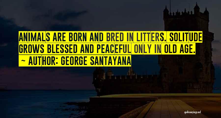 George Santayana Quotes: Animals Are Born And Bred In Litters. Solitude Grows Blessed And Peaceful Only In Old Age.