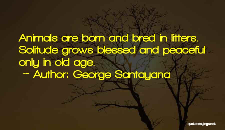 George Santayana Quotes: Animals Are Born And Bred In Litters. Solitude Grows Blessed And Peaceful Only In Old Age.