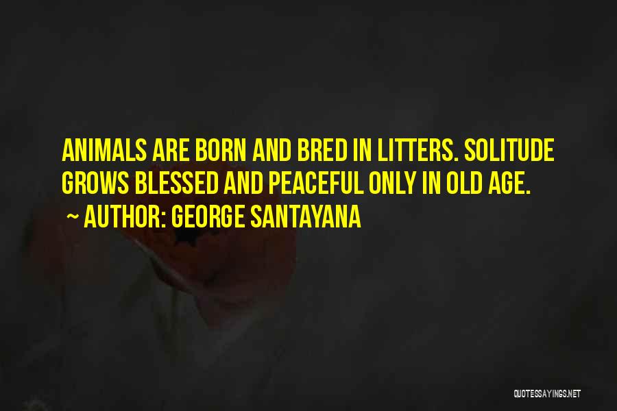 George Santayana Quotes: Animals Are Born And Bred In Litters. Solitude Grows Blessed And Peaceful Only In Old Age.