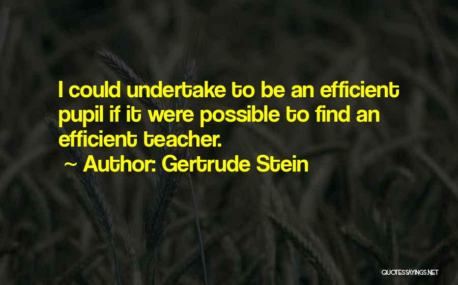 Gertrude Stein Quotes: I Could Undertake To Be An Efficient Pupil If It Were Possible To Find An Efficient Teacher.