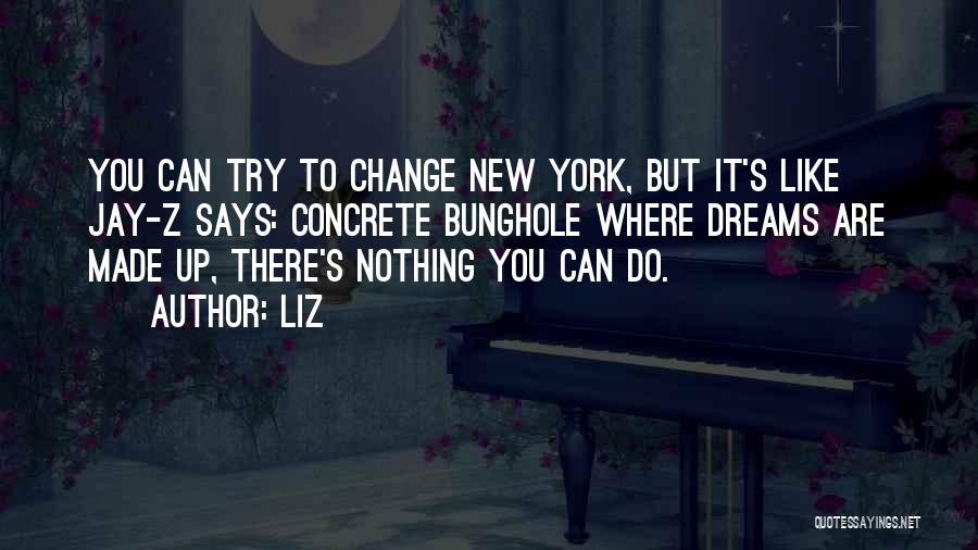 LIZ Quotes: You Can Try To Change New York, But It's Like Jay-z Says: Concrete Bunghole Where Dreams Are Made Up, There's