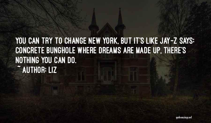 LIZ Quotes: You Can Try To Change New York, But It's Like Jay-z Says: Concrete Bunghole Where Dreams Are Made Up, There's