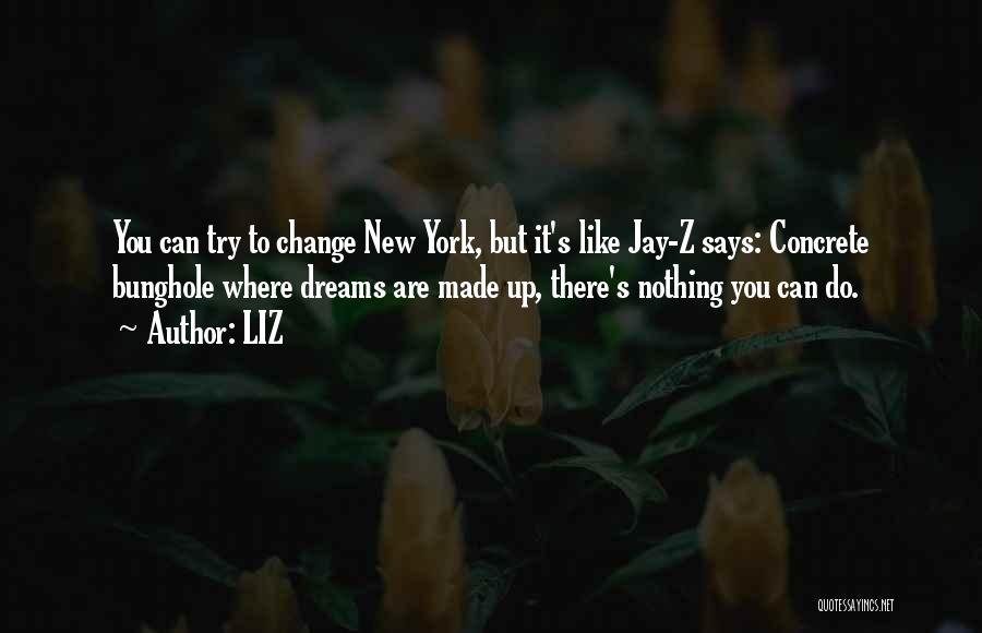 LIZ Quotes: You Can Try To Change New York, But It's Like Jay-z Says: Concrete Bunghole Where Dreams Are Made Up, There's