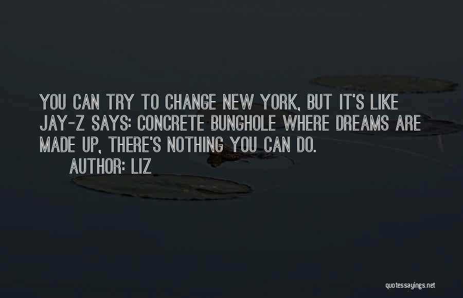 LIZ Quotes: You Can Try To Change New York, But It's Like Jay-z Says: Concrete Bunghole Where Dreams Are Made Up, There's