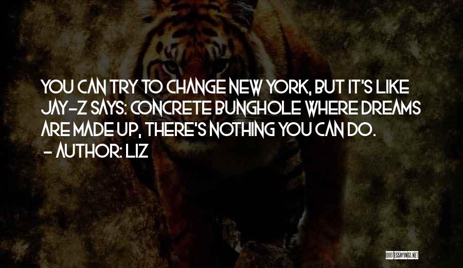 LIZ Quotes: You Can Try To Change New York, But It's Like Jay-z Says: Concrete Bunghole Where Dreams Are Made Up, There's