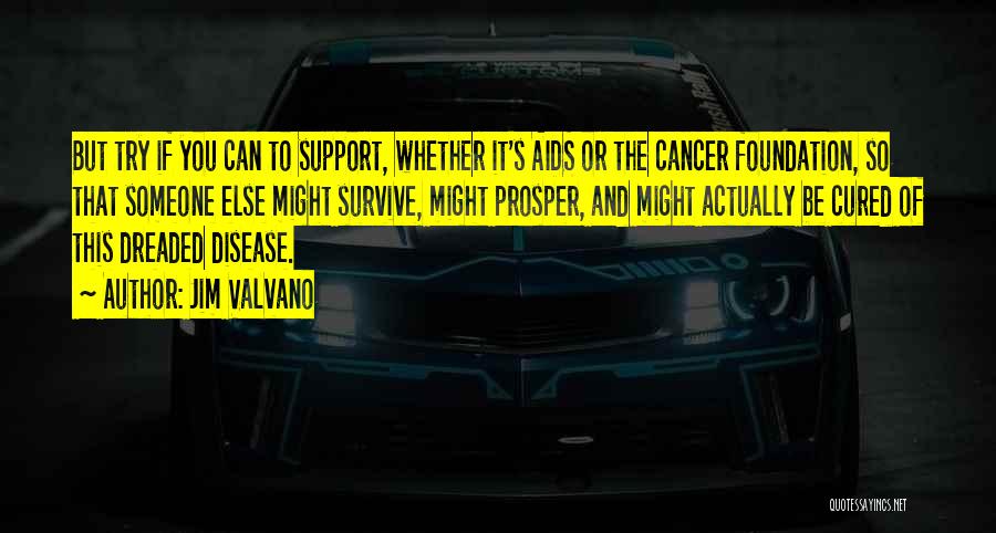 Jim Valvano Quotes: But Try If You Can To Support, Whether It's Aids Or The Cancer Foundation, So That Someone Else Might Survive,