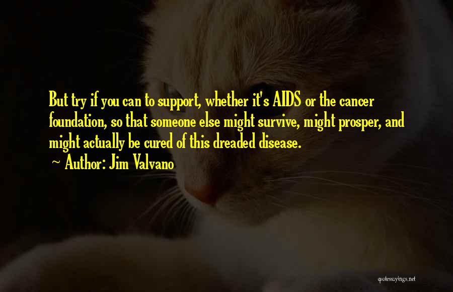 Jim Valvano Quotes: But Try If You Can To Support, Whether It's Aids Or The Cancer Foundation, So That Someone Else Might Survive,