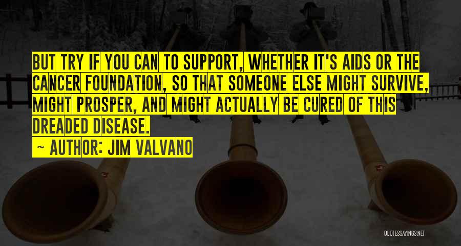 Jim Valvano Quotes: But Try If You Can To Support, Whether It's Aids Or The Cancer Foundation, So That Someone Else Might Survive,