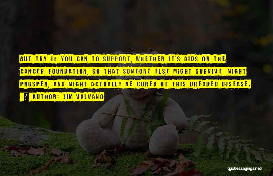 Jim Valvano Quotes: But Try If You Can To Support, Whether It's Aids Or The Cancer Foundation, So That Someone Else Might Survive,