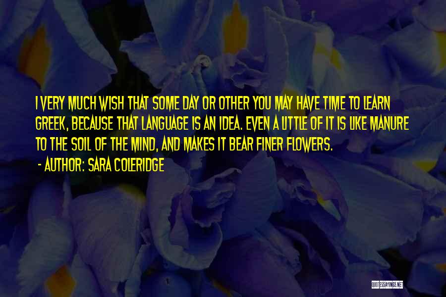 Sara Coleridge Quotes: I Very Much Wish That Some Day Or Other You May Have Time To Learn Greek, Because That Language Is