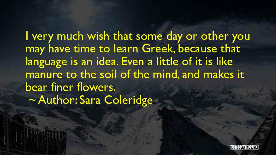 Sara Coleridge Quotes: I Very Much Wish That Some Day Or Other You May Have Time To Learn Greek, Because That Language Is