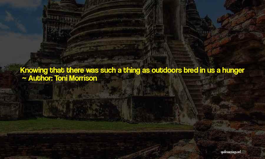 Toni Morrison Quotes: Knowing That There Was Such A Thing As Outdoors Bred In Us A Hunger For Property, For Ownership. The Firm