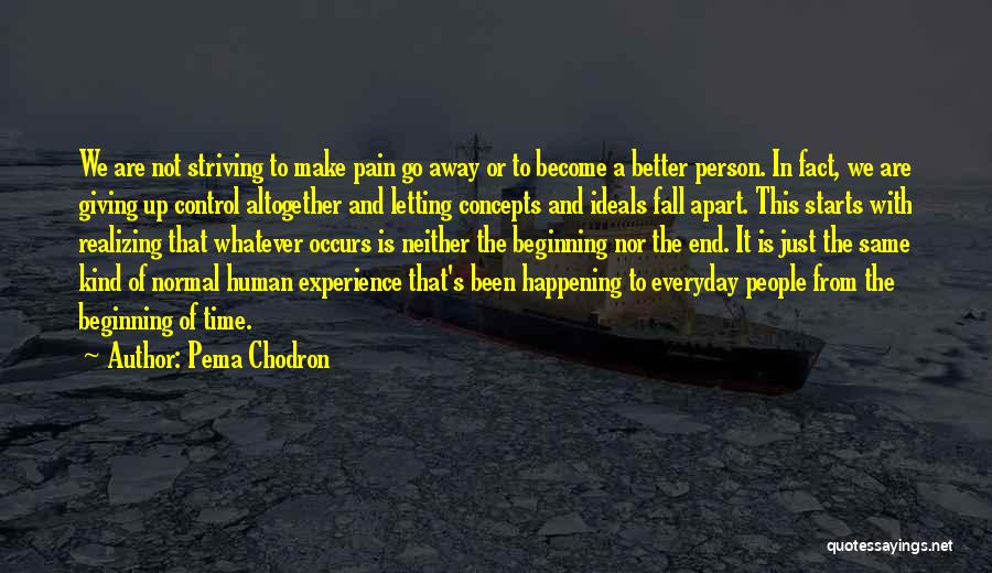 Pema Chodron Quotes: We Are Not Striving To Make Pain Go Away Or To Become A Better Person. In Fact, We Are Giving