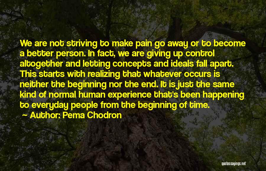 Pema Chodron Quotes: We Are Not Striving To Make Pain Go Away Or To Become A Better Person. In Fact, We Are Giving