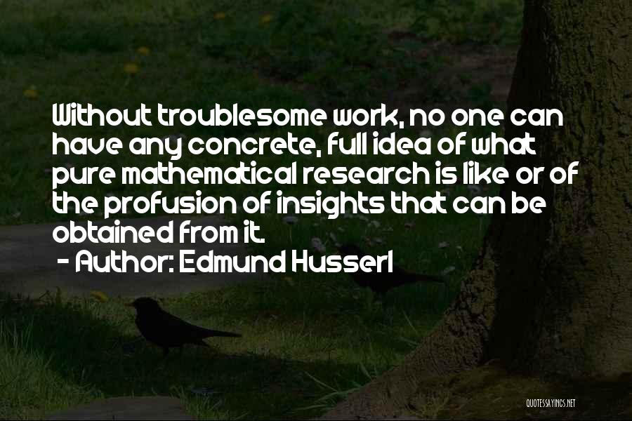 Edmund Husserl Quotes: Without Troublesome Work, No One Can Have Any Concrete, Full Idea Of What Pure Mathematical Research Is Like Or Of