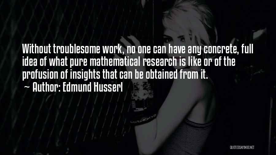 Edmund Husserl Quotes: Without Troublesome Work, No One Can Have Any Concrete, Full Idea Of What Pure Mathematical Research Is Like Or Of