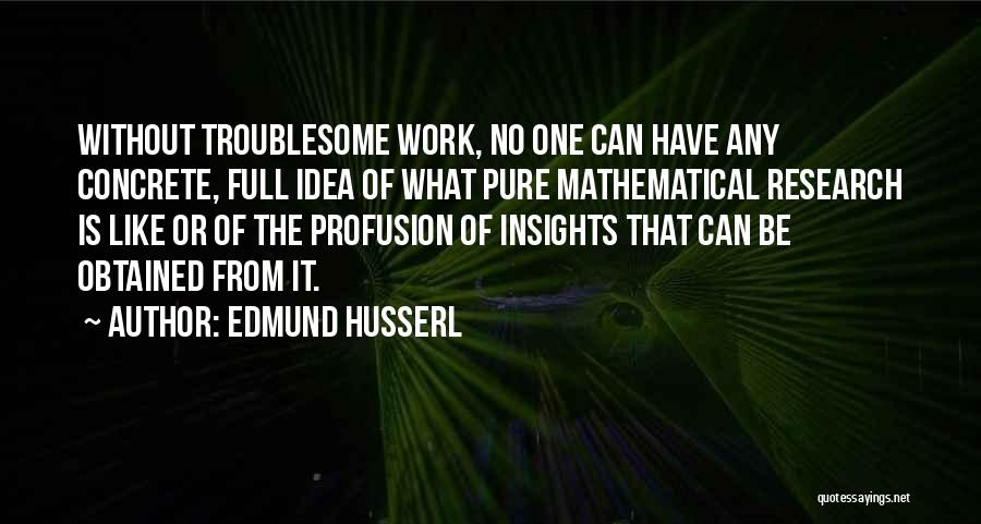 Edmund Husserl Quotes: Without Troublesome Work, No One Can Have Any Concrete, Full Idea Of What Pure Mathematical Research Is Like Or Of