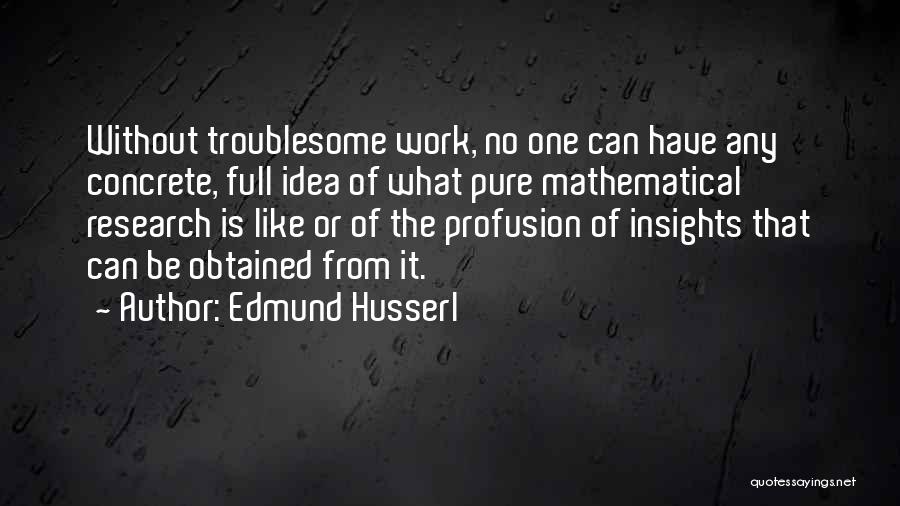 Edmund Husserl Quotes: Without Troublesome Work, No One Can Have Any Concrete, Full Idea Of What Pure Mathematical Research Is Like Or Of