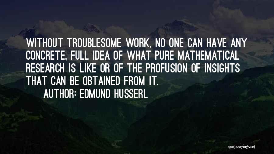 Edmund Husserl Quotes: Without Troublesome Work, No One Can Have Any Concrete, Full Idea Of What Pure Mathematical Research Is Like Or Of