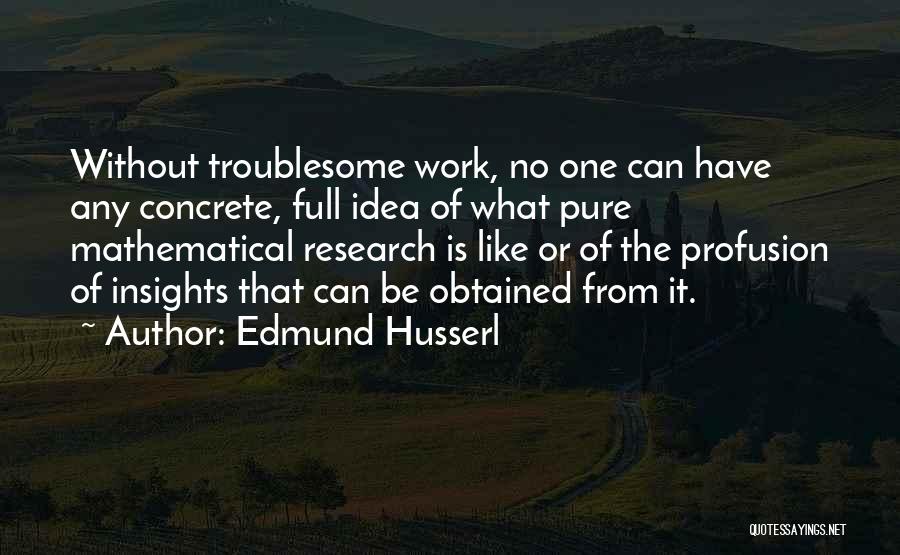 Edmund Husserl Quotes: Without Troublesome Work, No One Can Have Any Concrete, Full Idea Of What Pure Mathematical Research Is Like Or Of