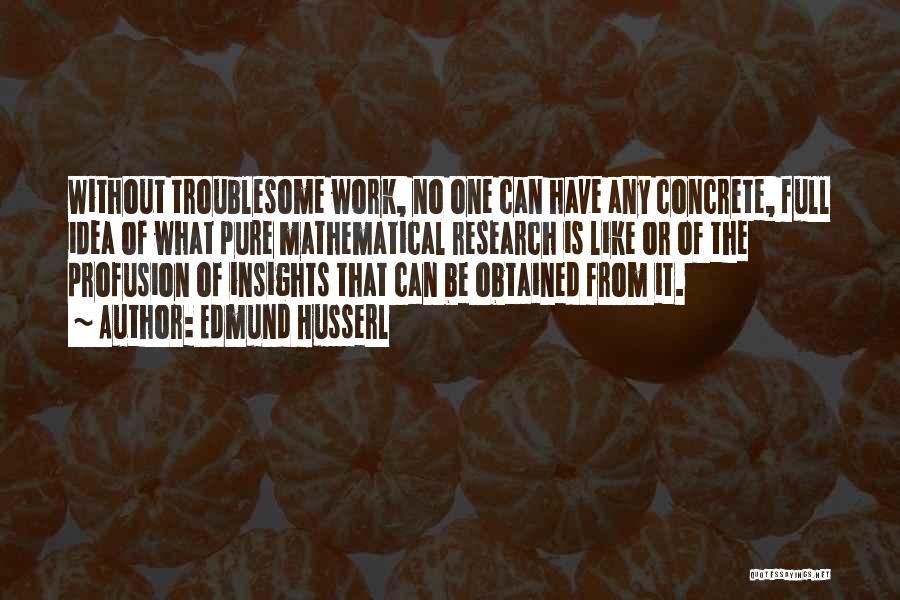 Edmund Husserl Quotes: Without Troublesome Work, No One Can Have Any Concrete, Full Idea Of What Pure Mathematical Research Is Like Or Of
