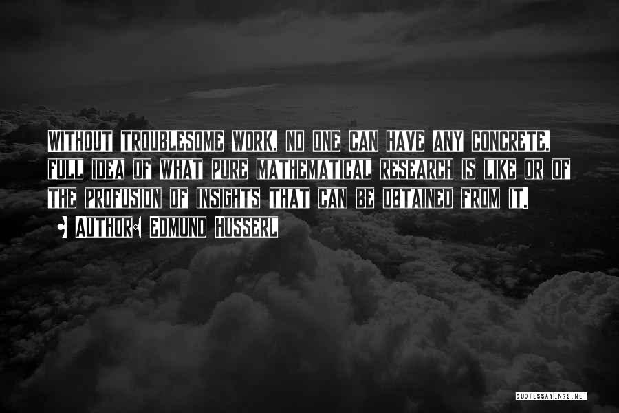 Edmund Husserl Quotes: Without Troublesome Work, No One Can Have Any Concrete, Full Idea Of What Pure Mathematical Research Is Like Or Of