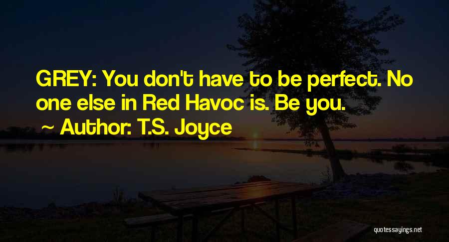 T.S. Joyce Quotes: Grey: You Don't Have To Be Perfect. No One Else In Red Havoc Is. Be You.