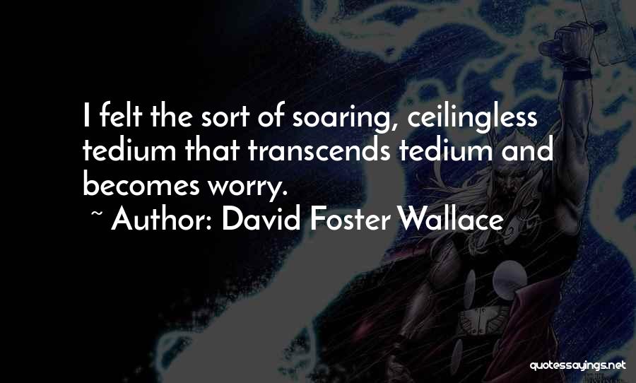 David Foster Wallace Quotes: I Felt The Sort Of Soaring, Ceilingless Tedium That Transcends Tedium And Becomes Worry.