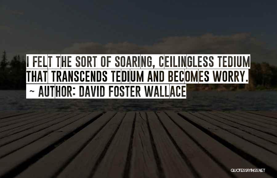David Foster Wallace Quotes: I Felt The Sort Of Soaring, Ceilingless Tedium That Transcends Tedium And Becomes Worry.