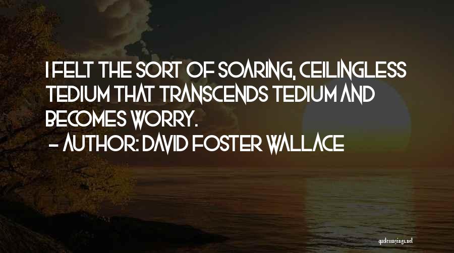 David Foster Wallace Quotes: I Felt The Sort Of Soaring, Ceilingless Tedium That Transcends Tedium And Becomes Worry.