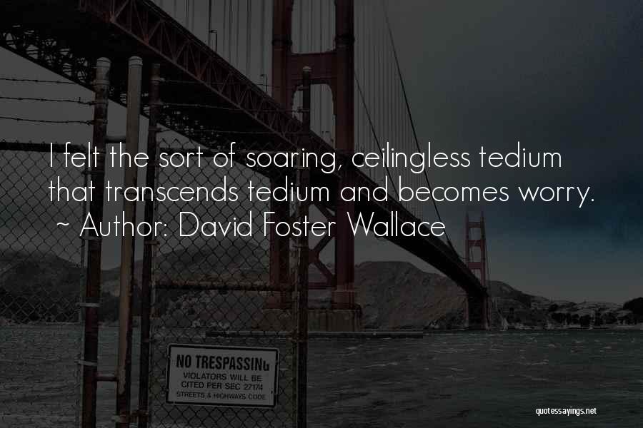 David Foster Wallace Quotes: I Felt The Sort Of Soaring, Ceilingless Tedium That Transcends Tedium And Becomes Worry.