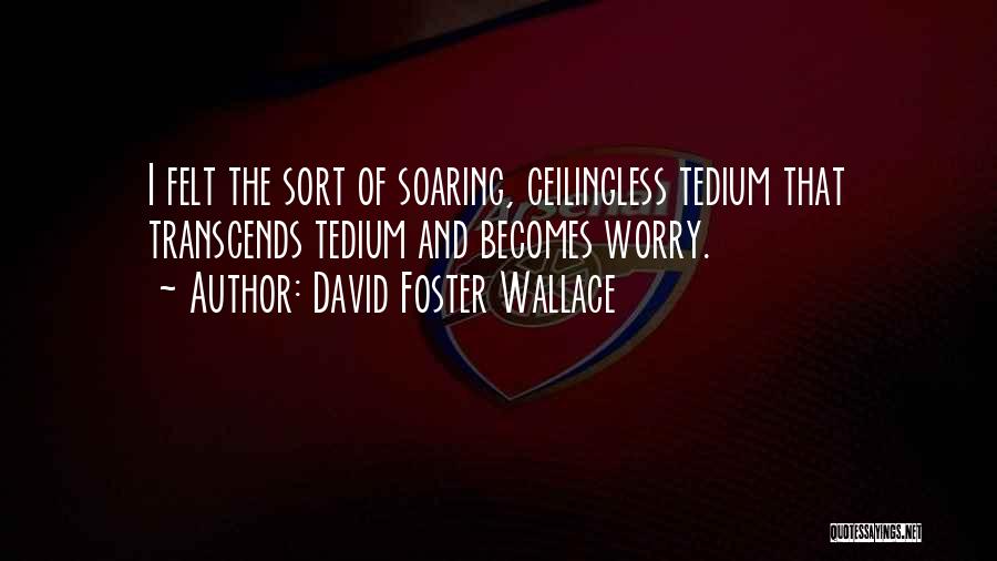 David Foster Wallace Quotes: I Felt The Sort Of Soaring, Ceilingless Tedium That Transcends Tedium And Becomes Worry.
