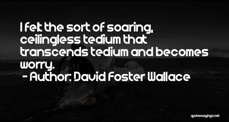 David Foster Wallace Quotes: I Felt The Sort Of Soaring, Ceilingless Tedium That Transcends Tedium And Becomes Worry.