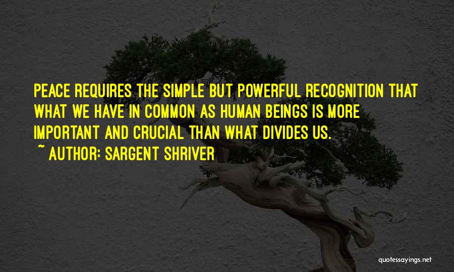 Sargent Shriver Quotes: Peace Requires The Simple But Powerful Recognition That What We Have In Common As Human Beings Is More Important And