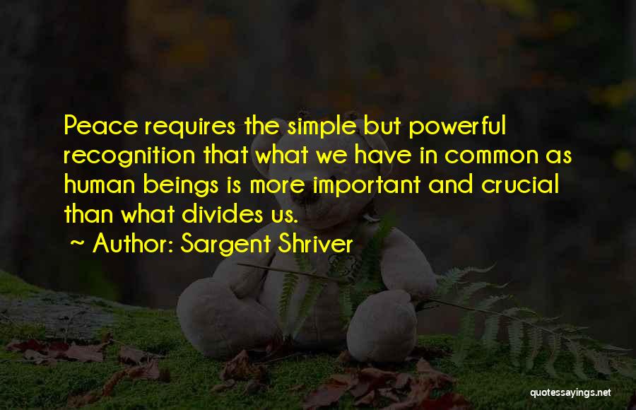 Sargent Shriver Quotes: Peace Requires The Simple But Powerful Recognition That What We Have In Common As Human Beings Is More Important And